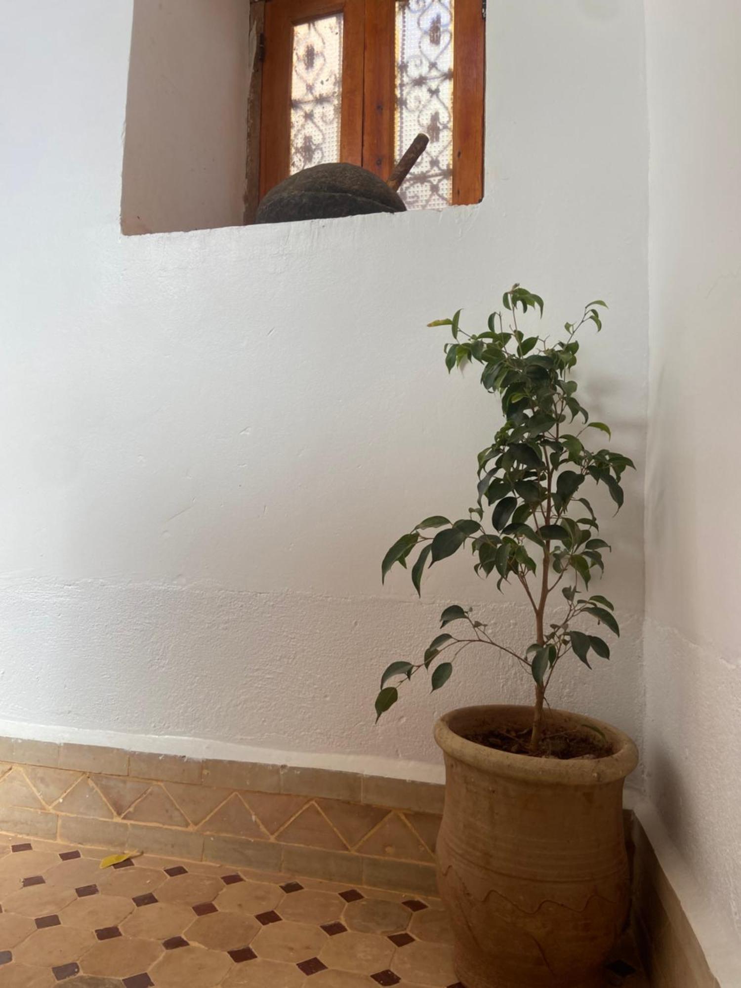 Tafsut Dades Guesthouse Stay With Locals Tamellalt  Екстериор снимка